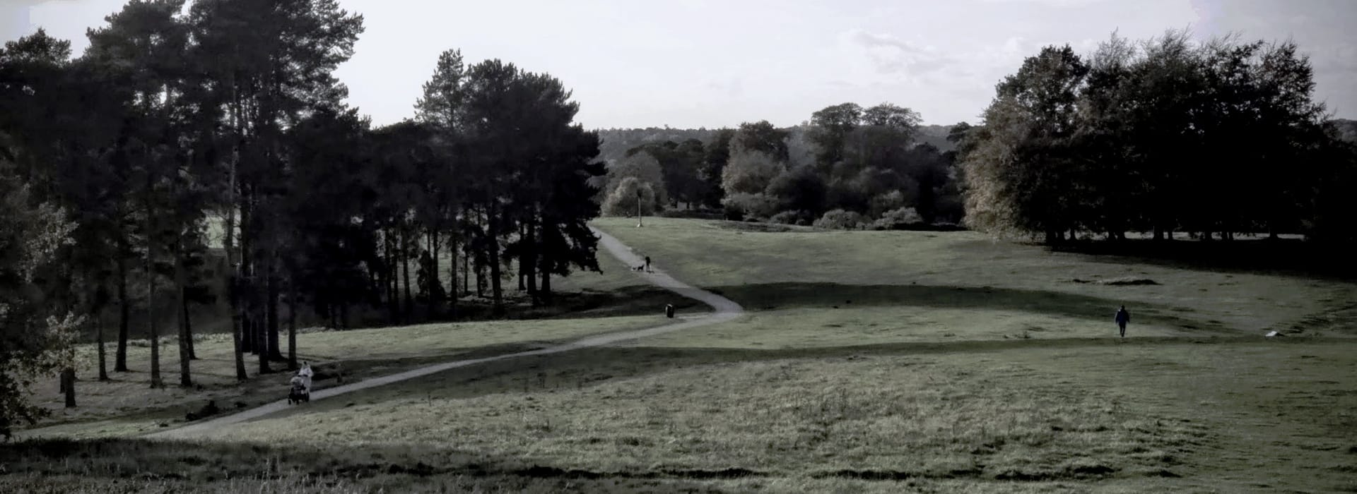 Bespoke Kitchens Ampthill - Mastercraft Kitchens wide grassy park with winding path and scattered trees under pale sky