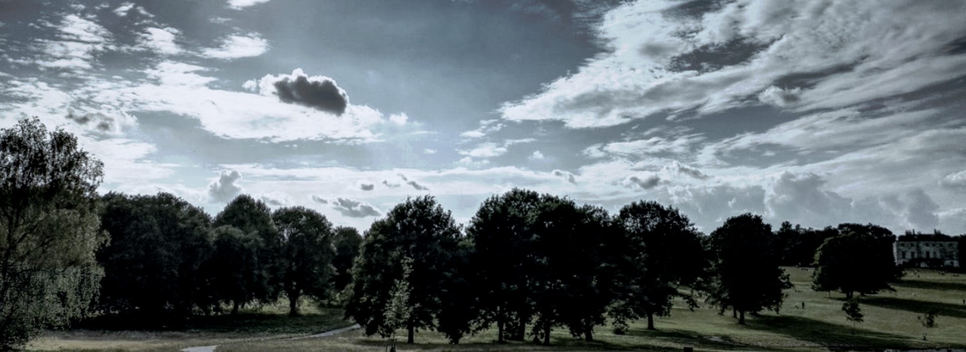 dramatic cloudy sky above a row of dark green trees in a park