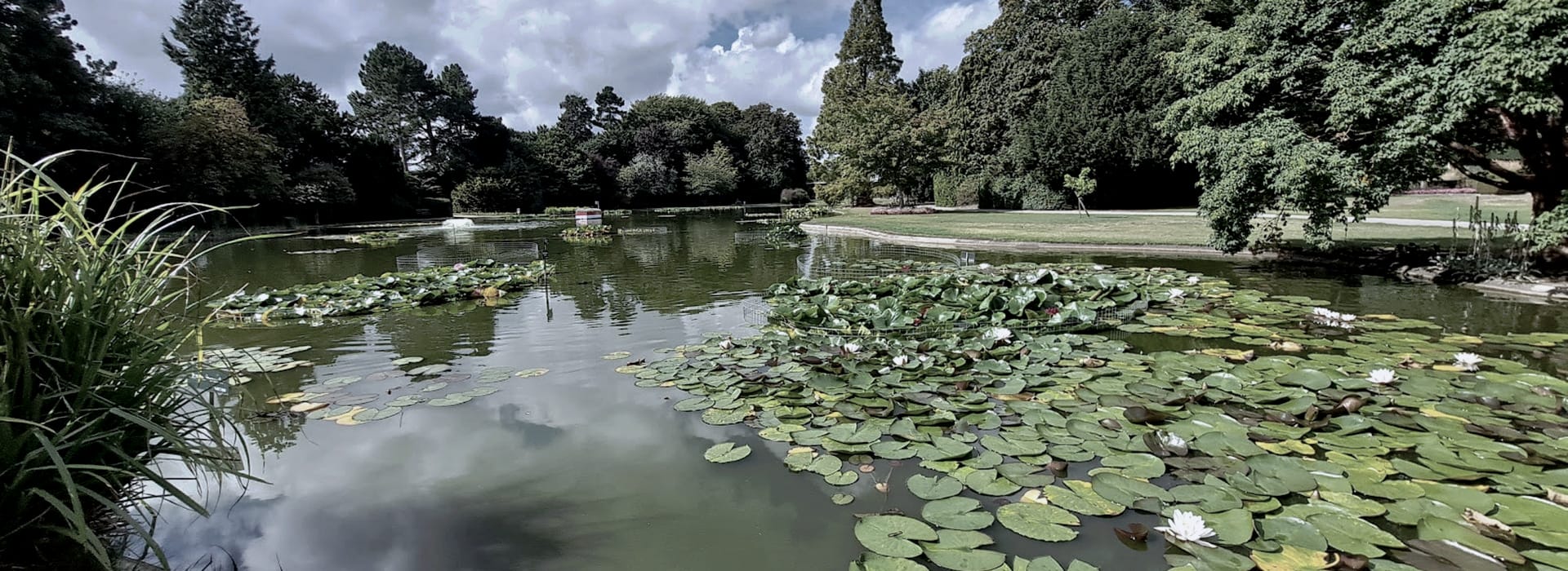 Mastercraft Kitchens - bespoke kitchen design in Allerthorpe