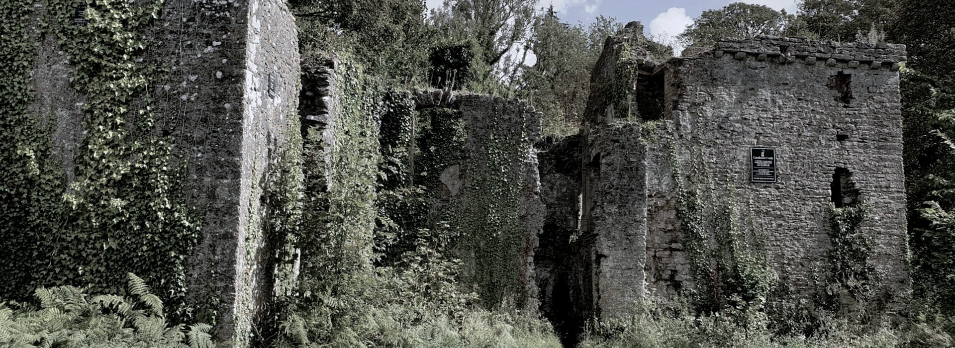weathered stone ruins overgrown with green ivy and ferns