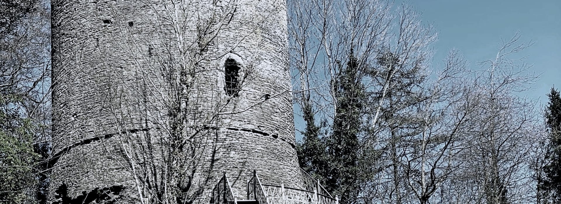 Round stone tower with narrow arched window and metal staircase, surrounded by bare trees