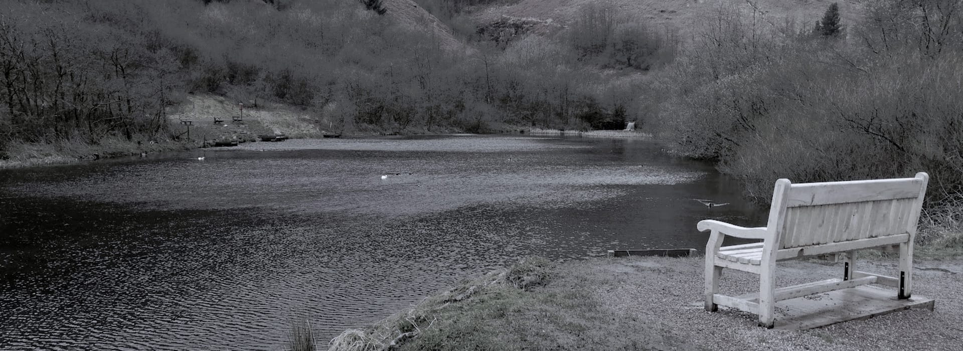 pale wooden bench overlooking a grey lake with rippling water