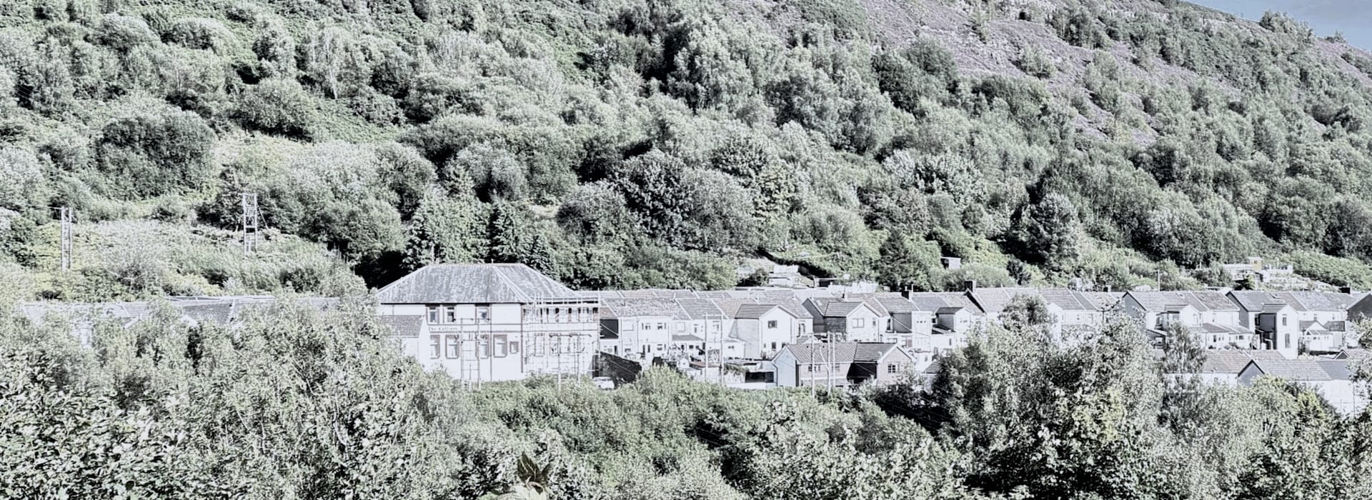 row of pale houses at the foot of a densely wooded hillside