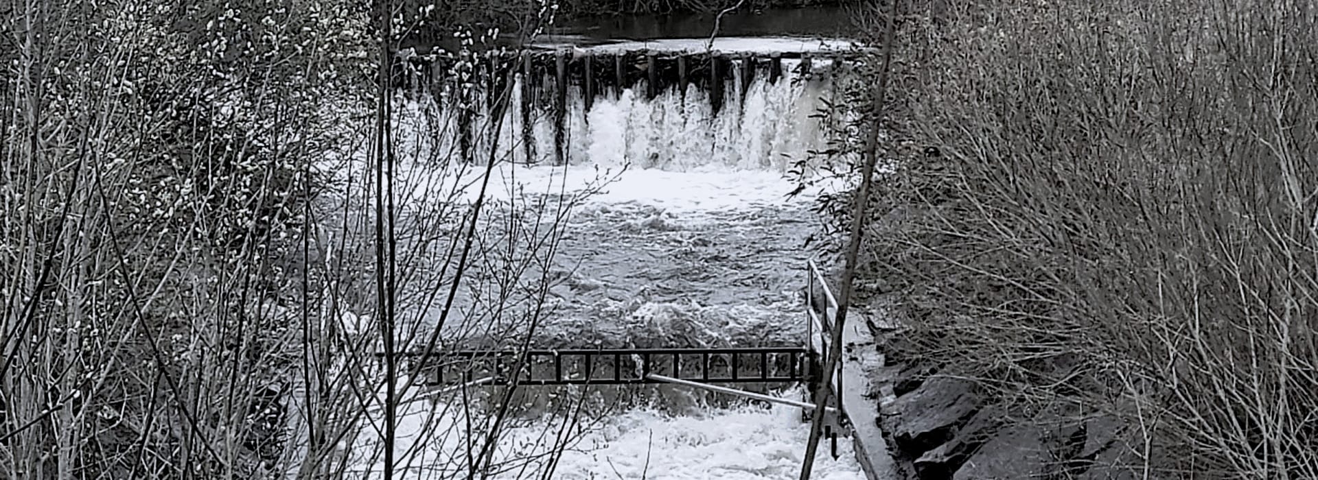monochrome scene with waterfall behind bare winter branches and metal railings