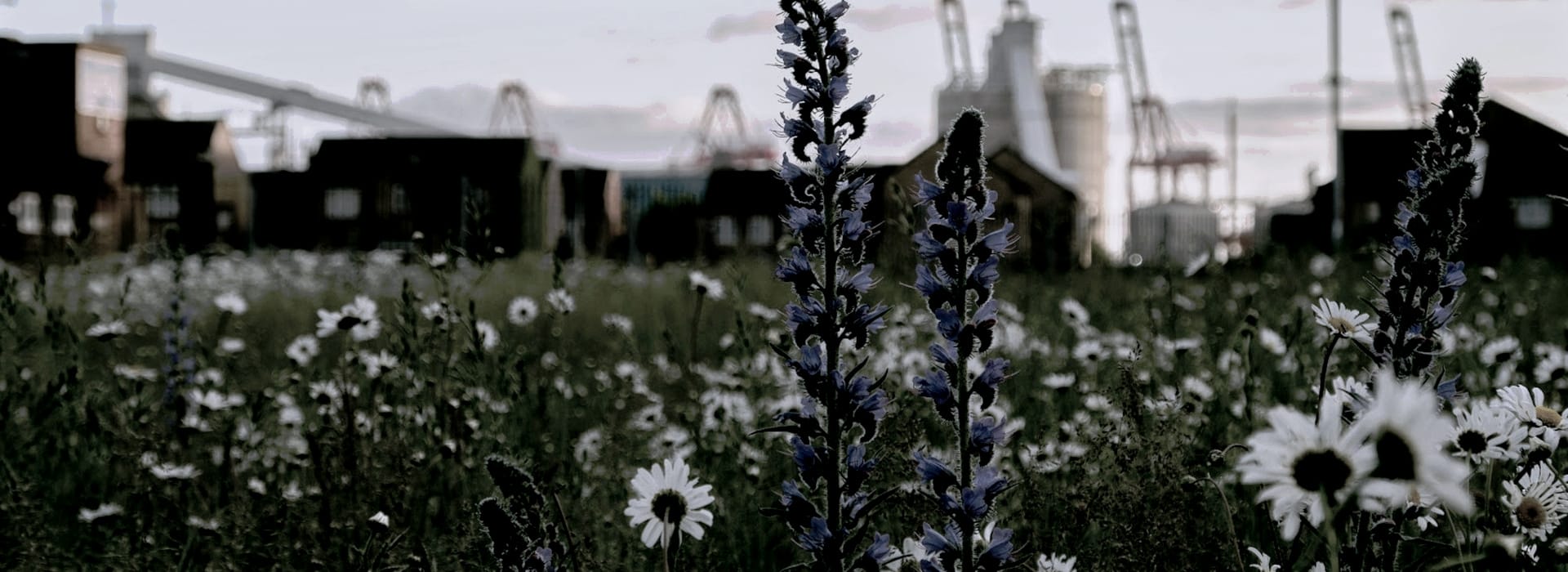 Mastercraft Kitchens - bespoke kitchen design in Bootle