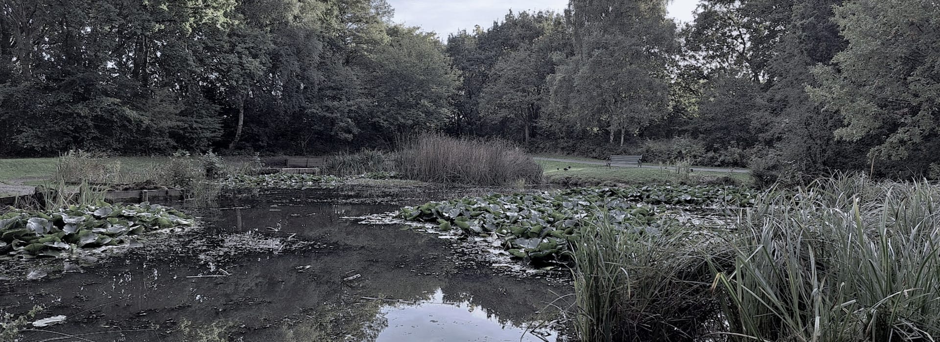 Mastercraft Kitchens - bespoke kitchen design in Halewood