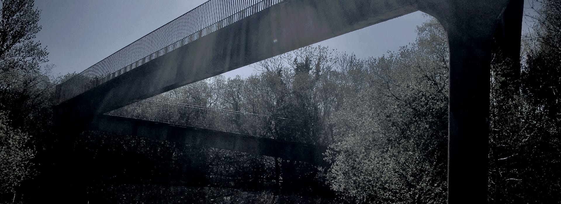two parallel concrete walkways with railings above leafy trees