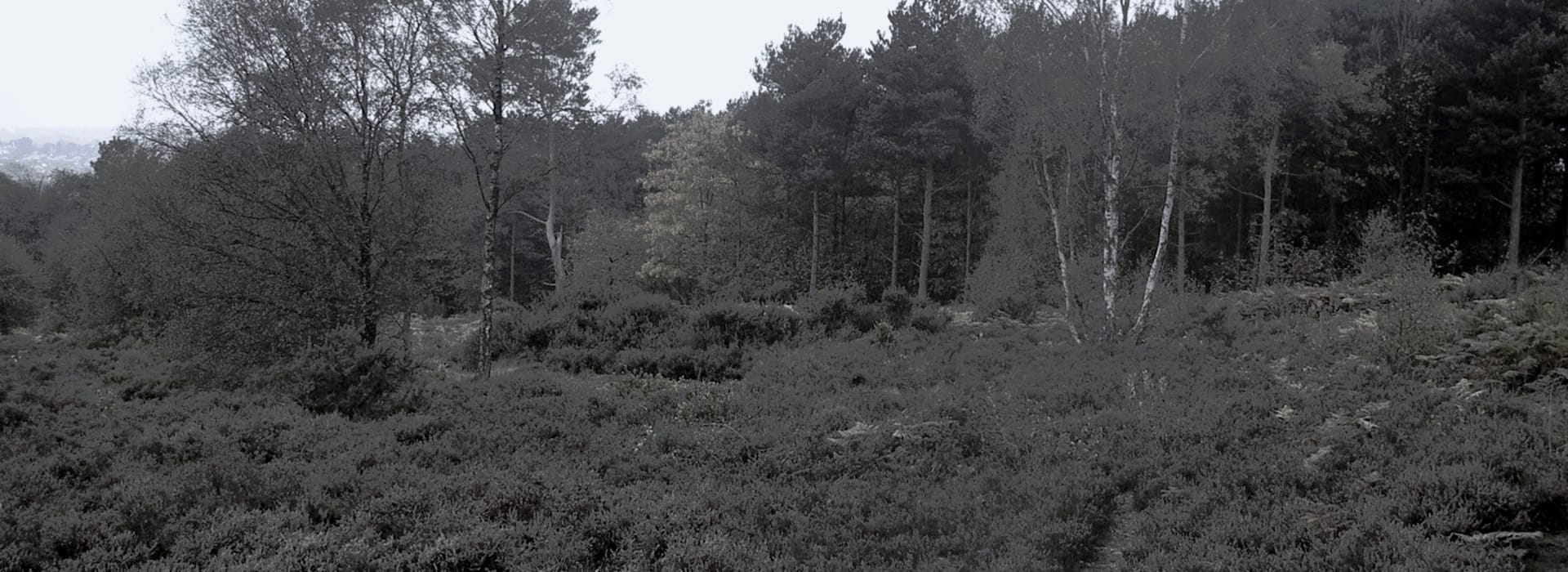 Mastercraft Kitchens - bespoke kitchen design in Hednesford