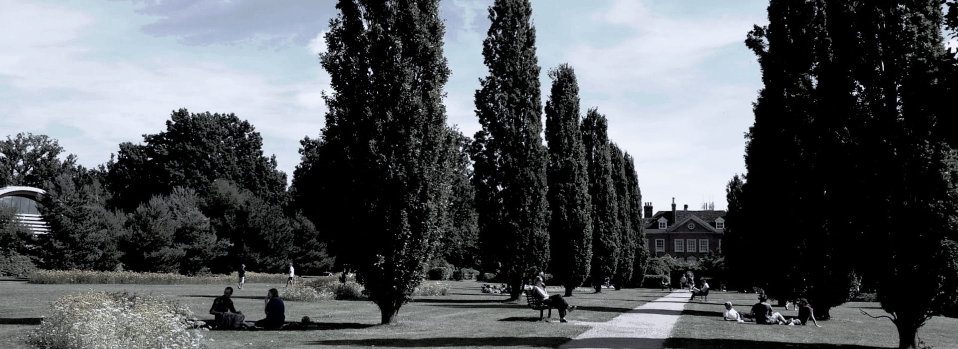 Tall dark trees line a wide path towards a stately red-brick building