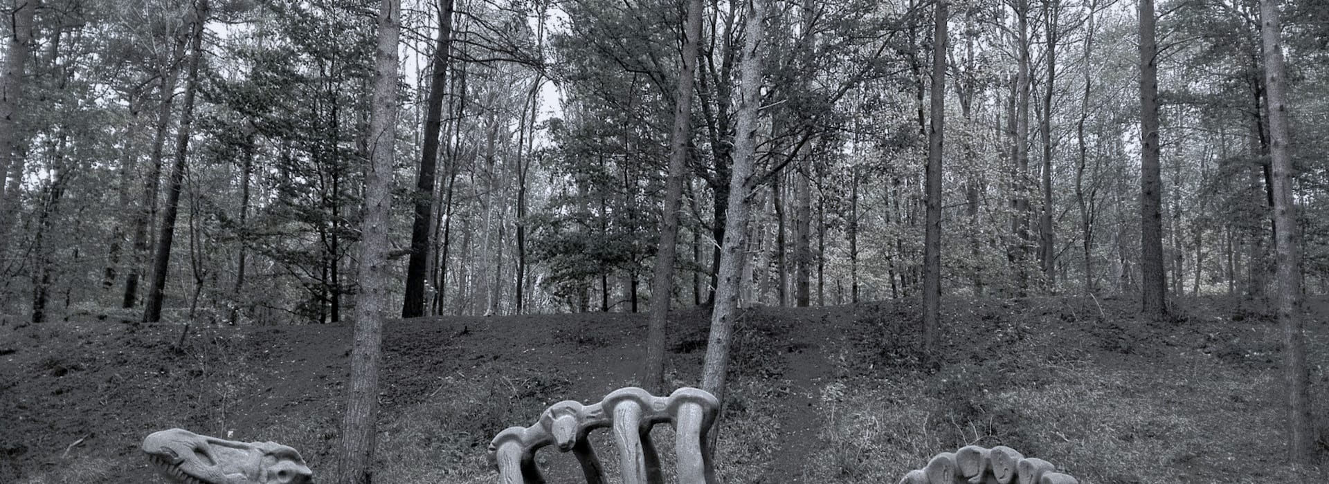 Muted woodland scene with dinosaur skeleton sculpture in the foreground
