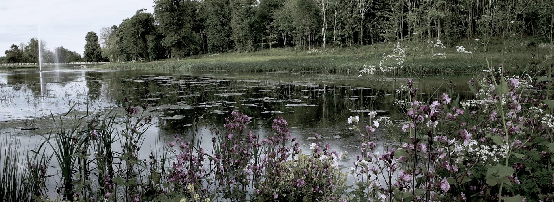 Mastercraft Kitchens - bespoke kitchen design in Swindon