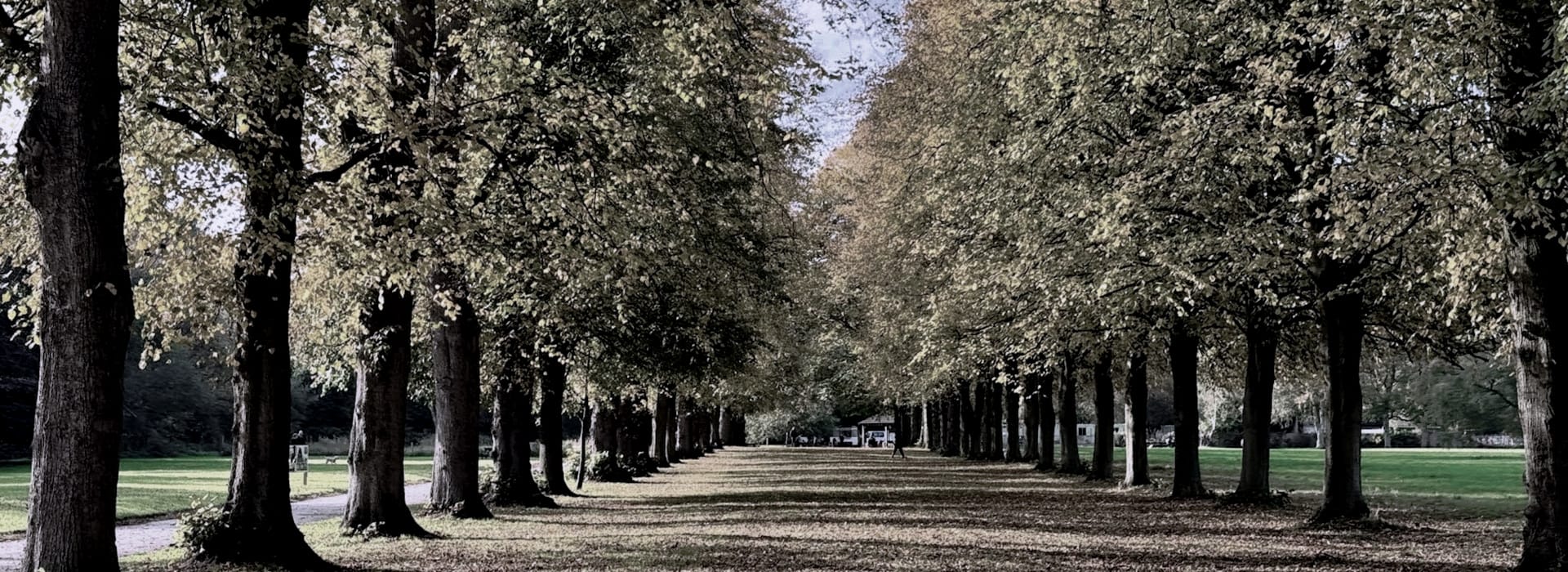 Mastercraft Kitchens - bespoke kitchen design in Northwich