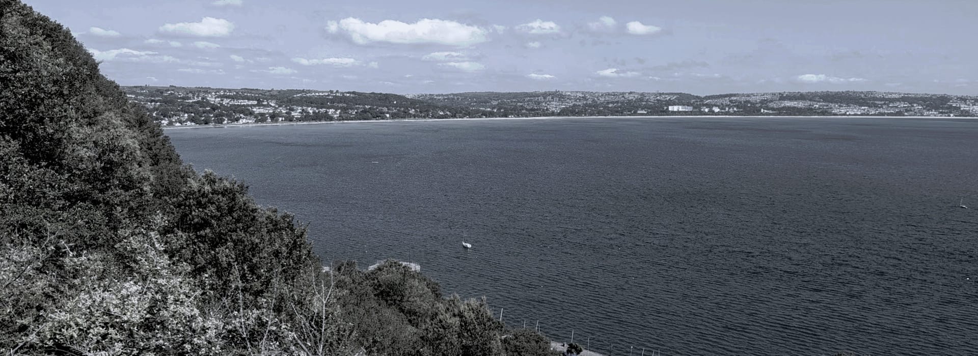 coastal landscape with deep blue sea, green trees and distant town under cloudy sky