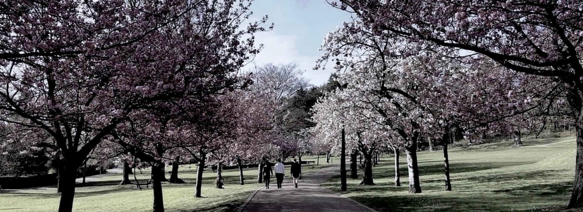 Mastercraft Kitchens - bespoke kitchen design in Pontypool