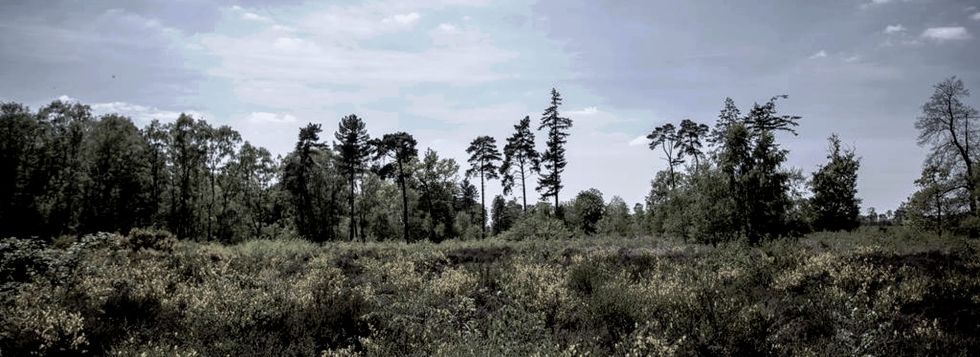 Mastercraft Kitchens - bespoke kitchen design in Potton