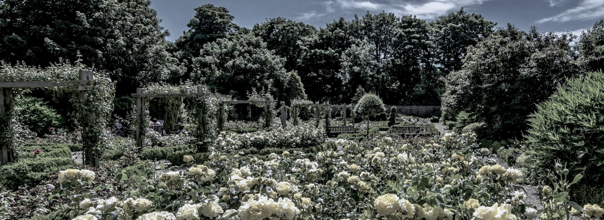 Mastercraft Kitchens - bespoke kitchen design in Cottingham