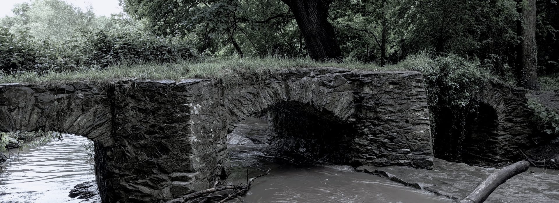 old stone bridge with three arches over muddy stream in green woodland