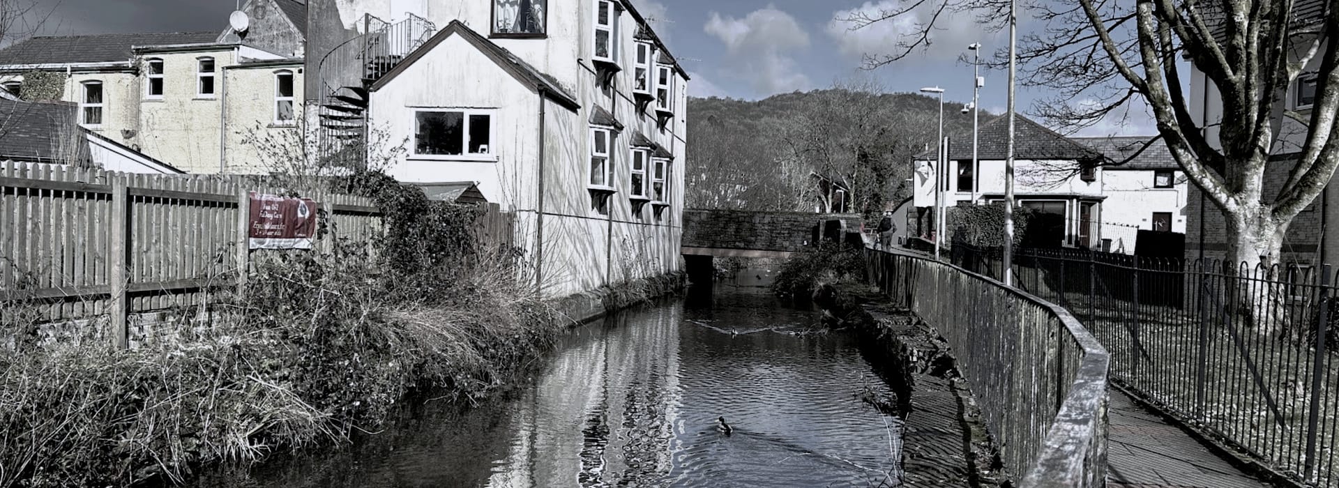 narrow canal with white houses, wooden fence and footpath, muted winter colours